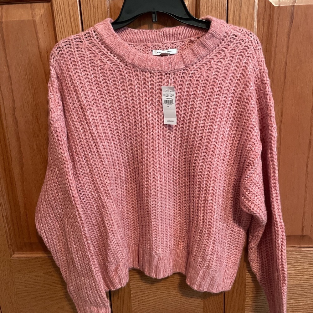 Pink sweater. Purchased from American Eagle